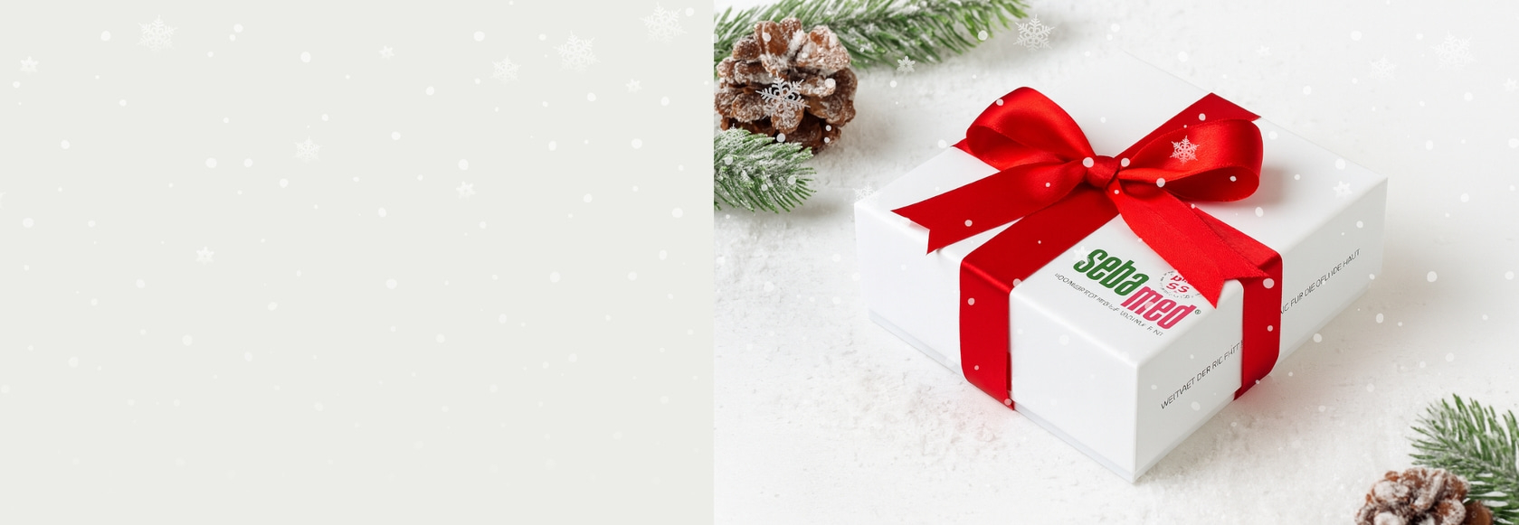 sebamed-banner-weihnachten2-2500x865px