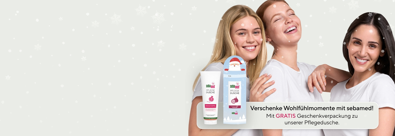 sebamed_Weihnachten-Schuber_2500x865px