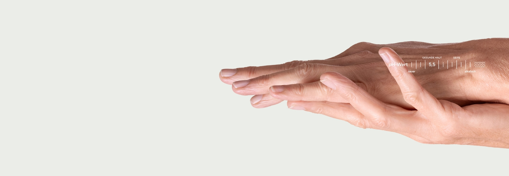 70012325_sebamed_assets_website-presse-header_2500x865px-01