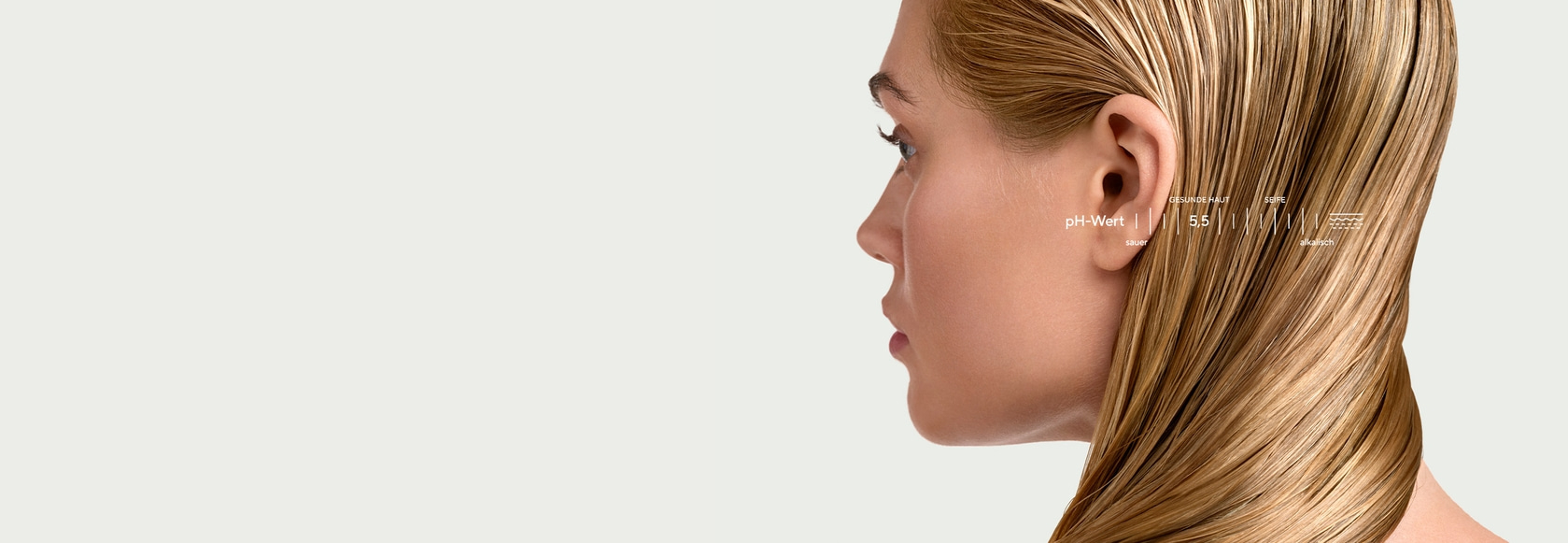 70012325_sebamed_assets_website-ww-haare-header_2500x865px-01